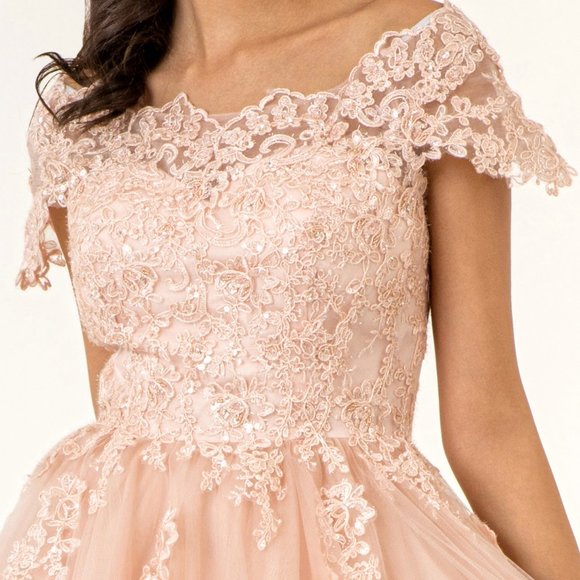 new blush  Boat Neck Tulle Short Dress GS1953 - Picture 3 of 5